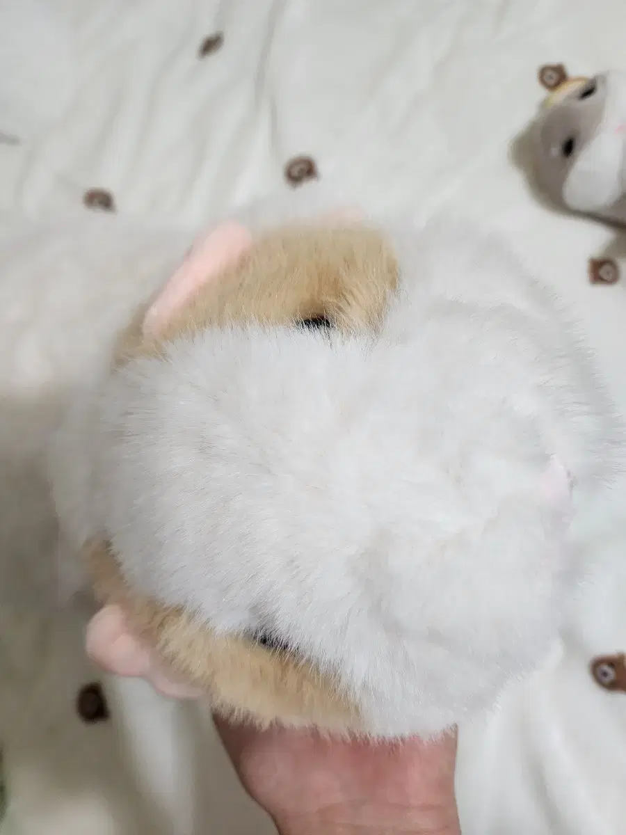 thumbnail-4